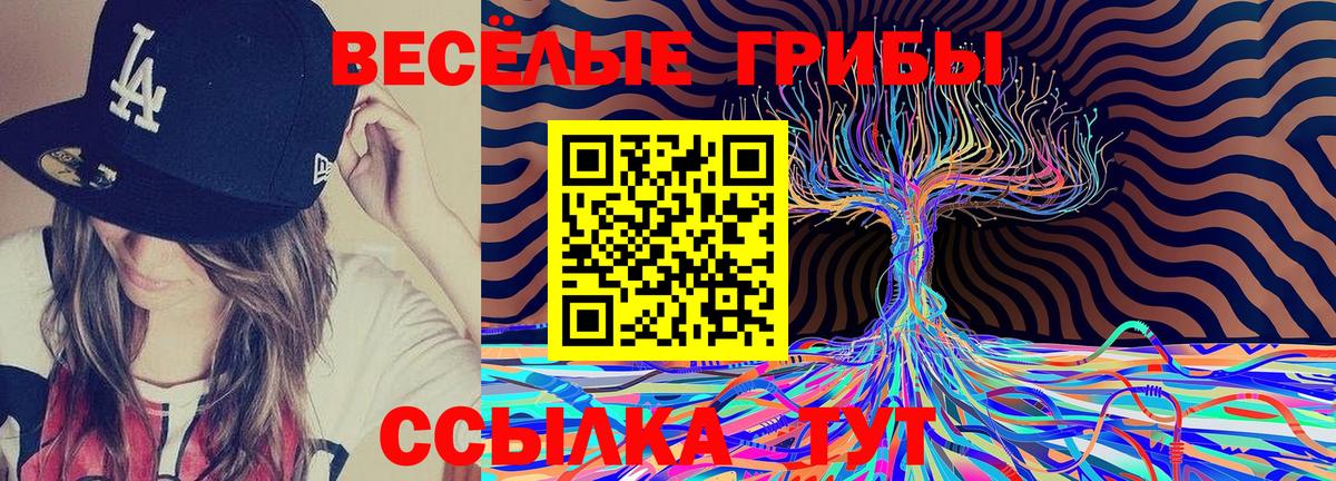 Серов  Псилоцибиновые грибы MAGIC MUSHROOMS  Вход с VPN  Псилоцибиновые грибы GOLDEN TEACHER 